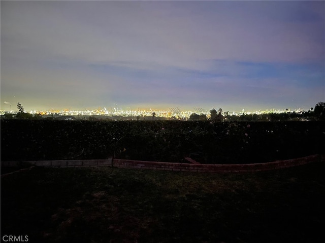 view of yard at dusk