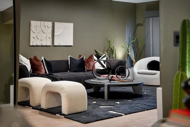 living room featuring wood-type flooring