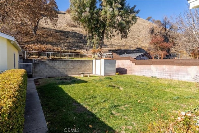 view of yard featuring a storage unit