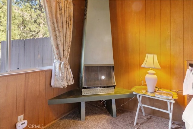 interior space with carpet and wooden walls