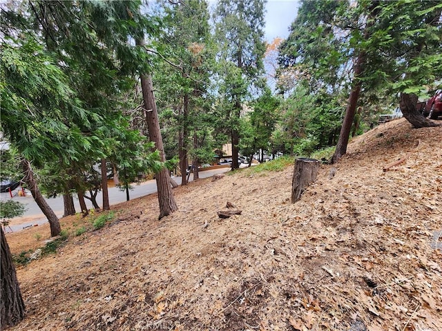 Listing photo 2 for 0 Horst Dr, Crestline CA 92325