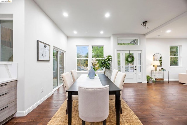 dining space featuring dark wood-type flooring