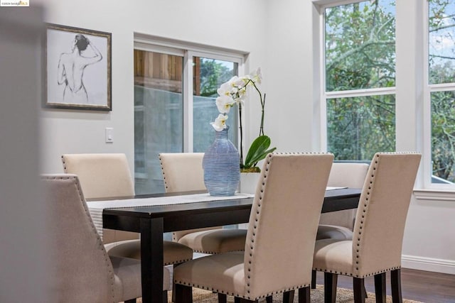 dining space featuring hardwood / wood-style floors