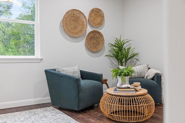 living area featuring dark hardwood / wood-style floors