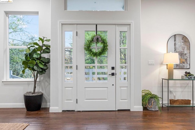 entrance foyer featuring dark hardwood / wood-style floors