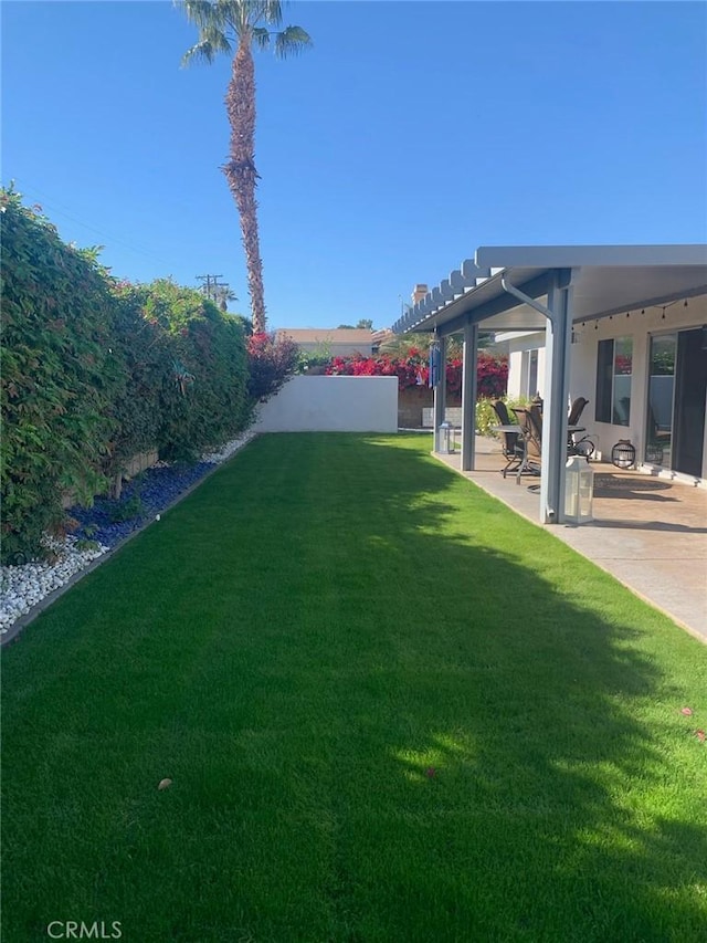 view of yard featuring a patio