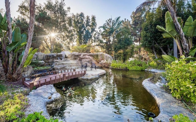 view of community featuring a small pond