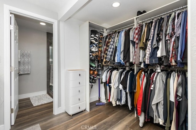 spacious closet with dark hardwood / wood-style flooring