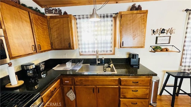 kitchen featuring pendant lighting, light hardwood / wood-style floors, sink, and appliances with stainless steel finishes