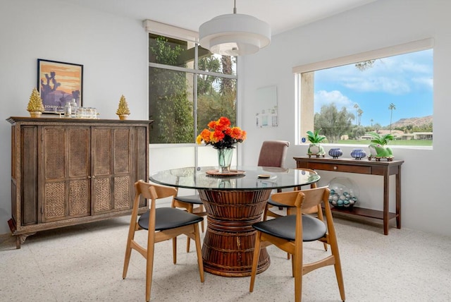 dining area featuring a wealth of natural light