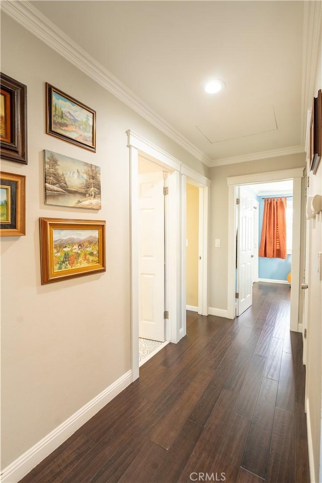 corridor featuring dark wood-type flooring and crown molding