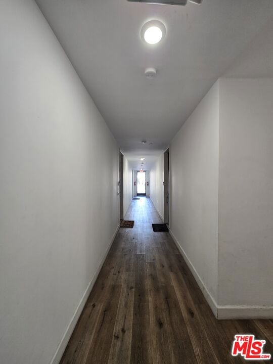 hallway featuring dark wood-type flooring