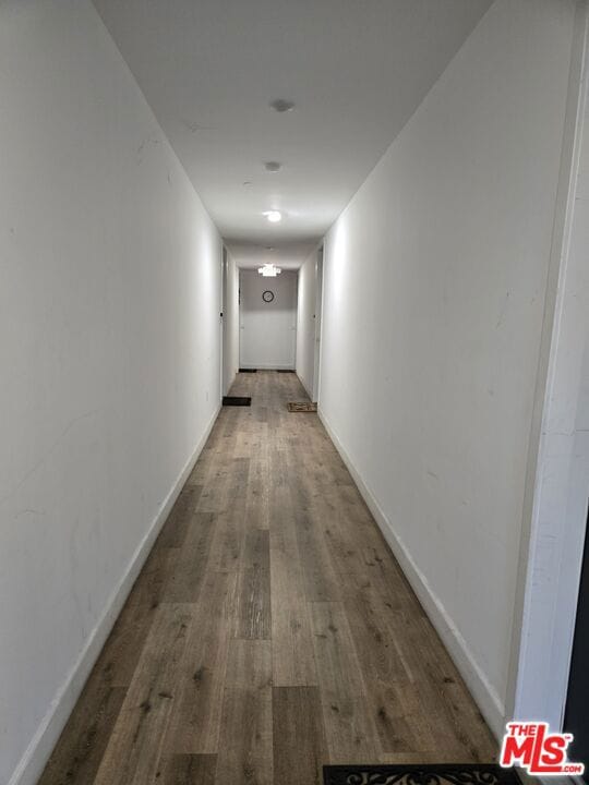 hallway featuring wood-type flooring