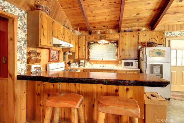 kitchen with kitchen peninsula, plenty of natural light, and white appliances