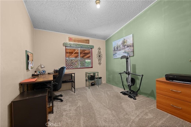 office space featuring a textured ceiling and light carpet