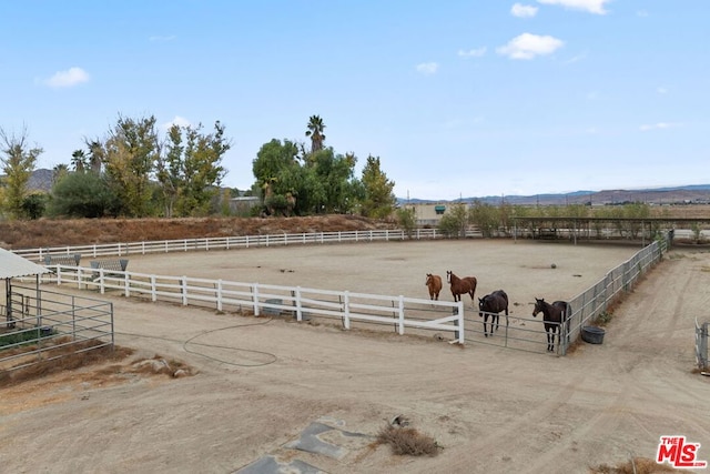 view of yard with a rural view