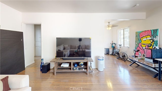 living room featuring ceiling fan and wood-type flooring