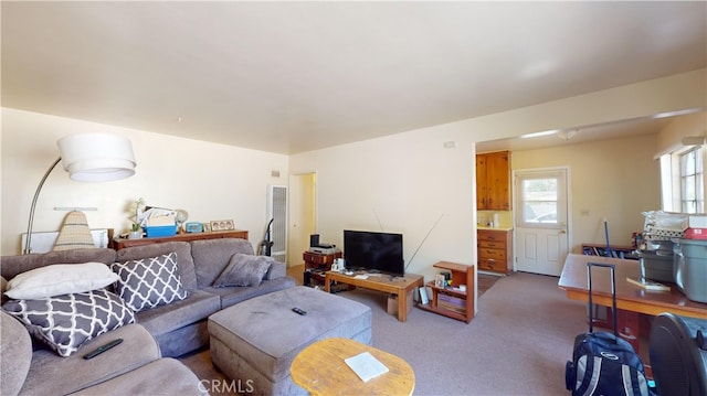 living room featuring carpet