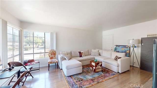 living room featuring wood-type flooring