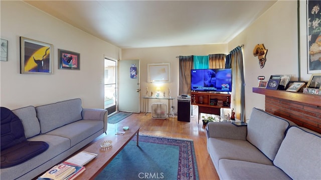 living room featuring wood-type flooring