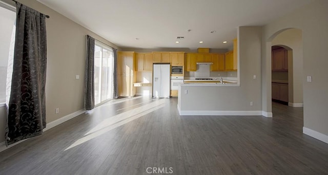 unfurnished living room with wood-type flooring and sink