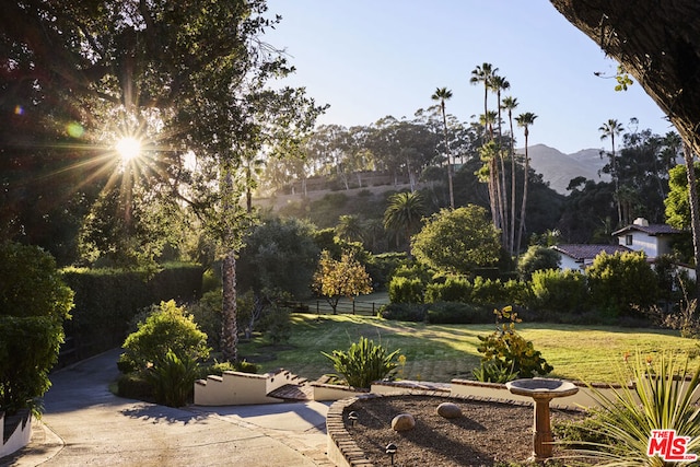 view of yard featuring a mountain view