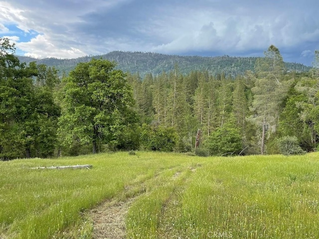 Listing photo 2 for 2964 Triangle Rd, Mariposa CA 95338