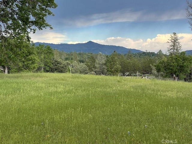 2964 Triangle Rd, Mariposa CA, 95338 land for sale