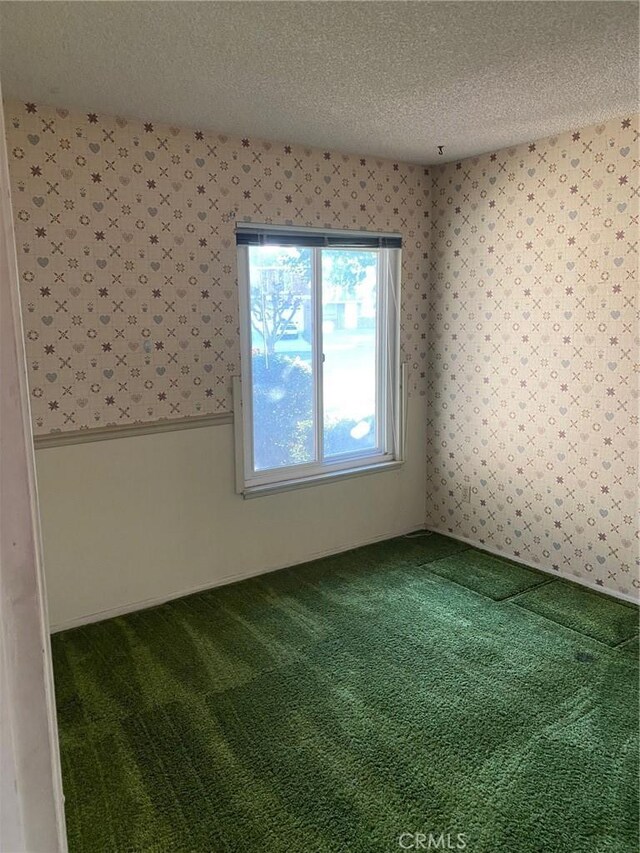 spare room with carpet and a textured ceiling