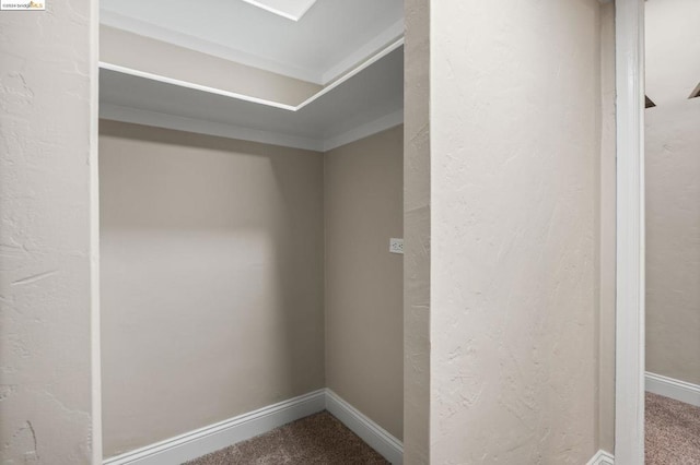 walk in closet featuring carpet flooring