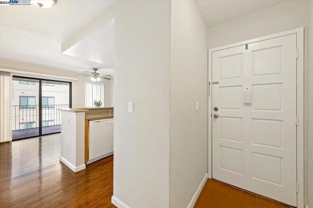 foyer featuring ceiling fan and dark wood-type flooring