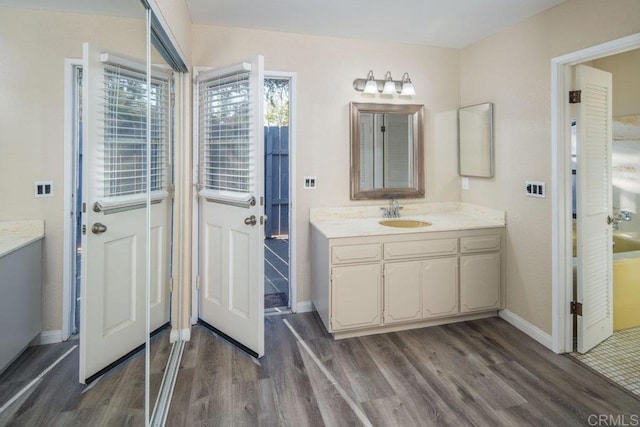 bathroom with hardwood / wood-style flooring and vanity