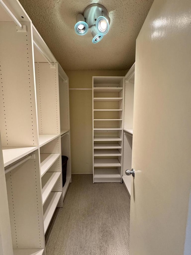 spacious closet featuring carpet