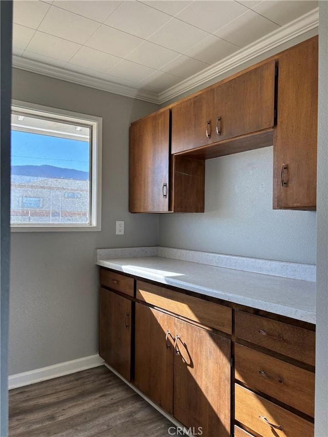 kitchen with dark wood-type flooring and crown molding