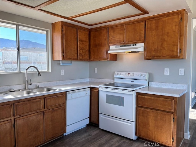 kitchen featuring a mountain view, sink, dark wood-type flooring, and white appliances