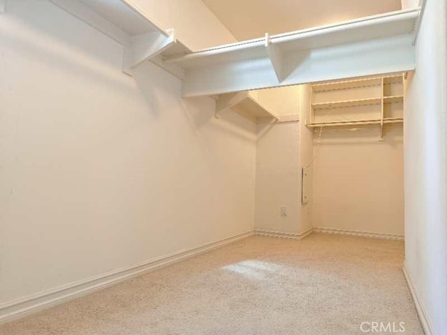 spacious closet featuring light colored carpet