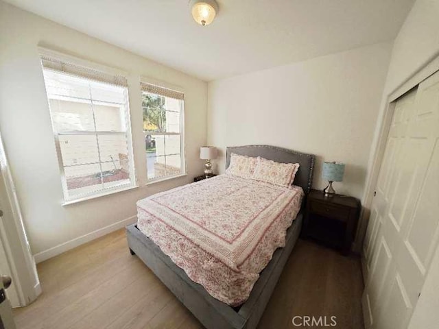 bedroom with a closet and wood-type flooring