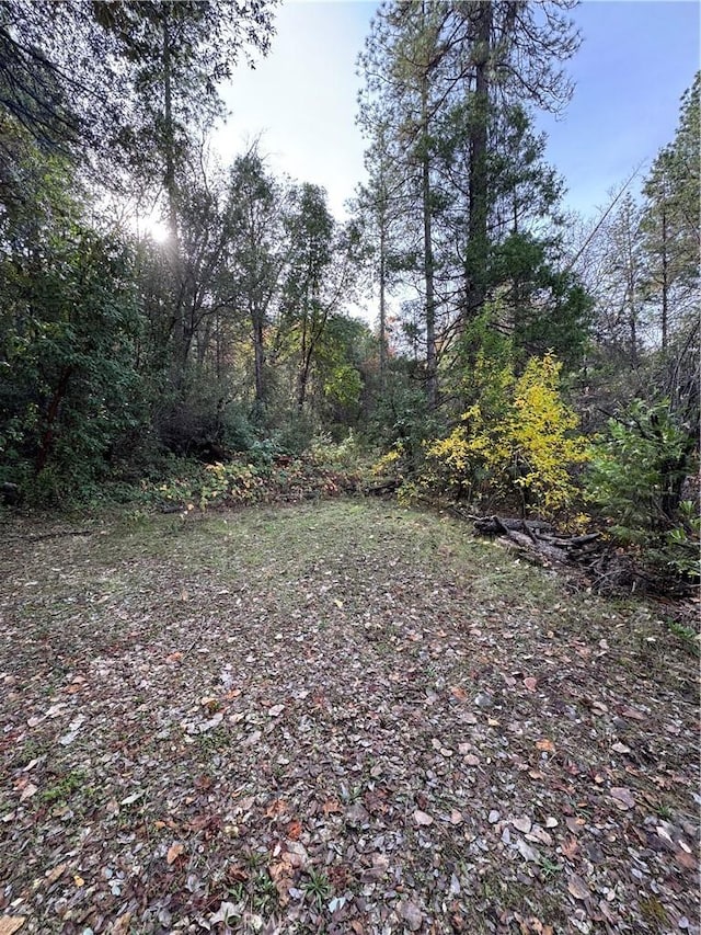 view of yard with a forest view