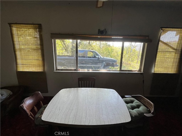 dining area with plenty of natural light