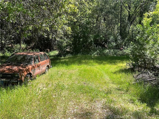 view of yard with a forest view