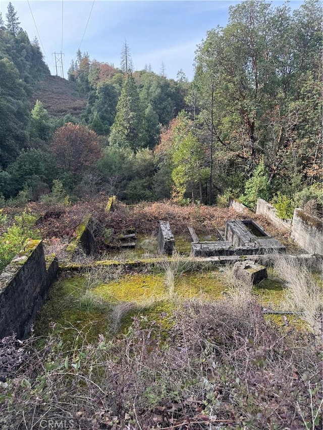 view of nature with a view of trees