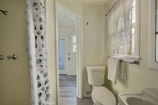 bathroom with sink, toilet, and hardwood / wood-style flooring