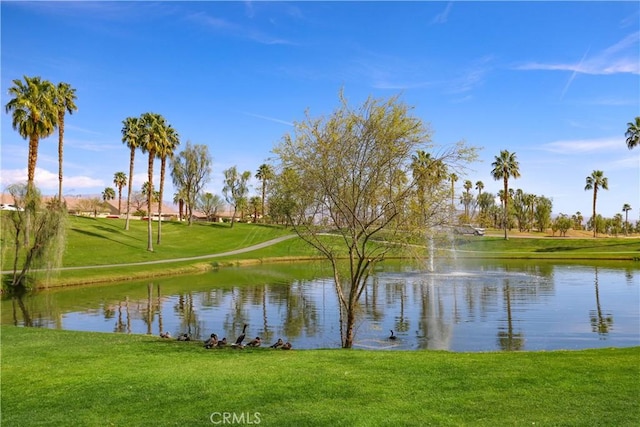 property view of water