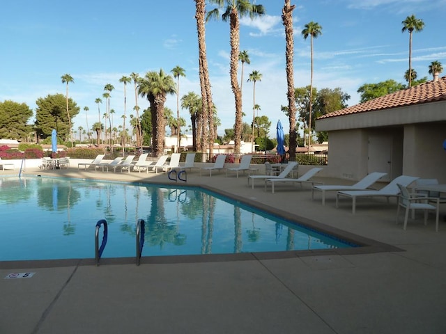 view of pool featuring a patio