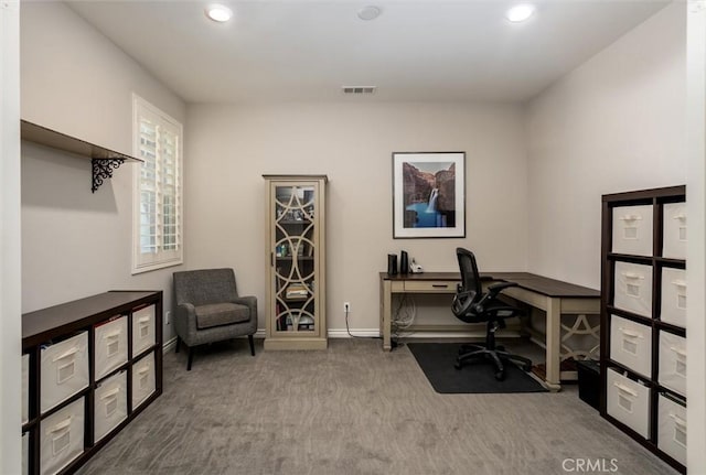 office area featuring carpet