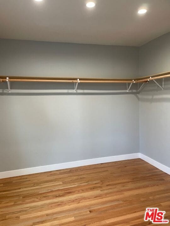 walk in closet with light wood-type flooring