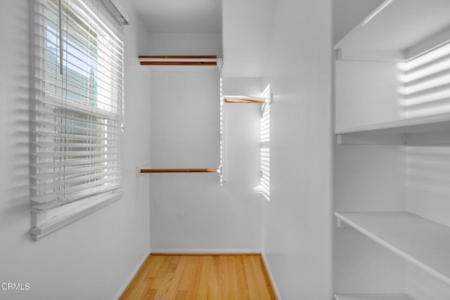 walk in closet with hardwood / wood-style flooring