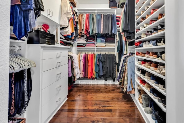 spacious closet with dark hardwood / wood-style floors