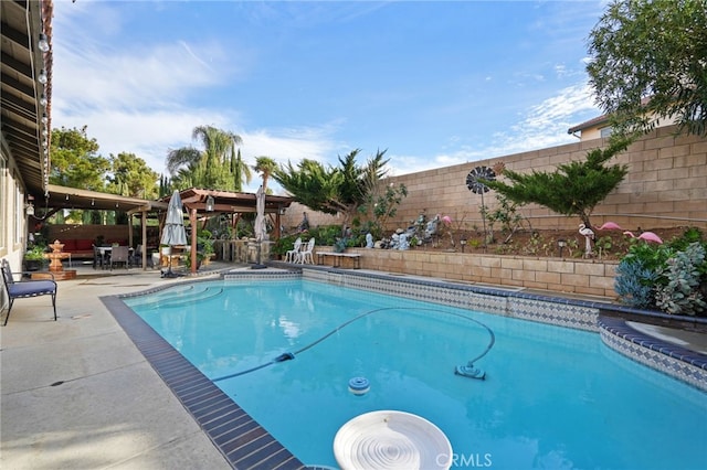 view of pool with a patio