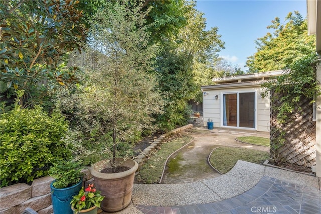 view of yard featuring a patio area